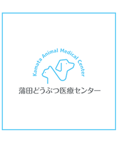 大田区蒲田 池上のあやべ動物病院のスタッフ紹介 大田区蒲田 池上のあやべ動物病院のスタッフ紹介